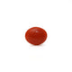 Japanese Red Coral - Moonga - 2.6 Carat - Pramogh