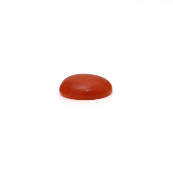 Japanese Red Coral - 2.6 Carat