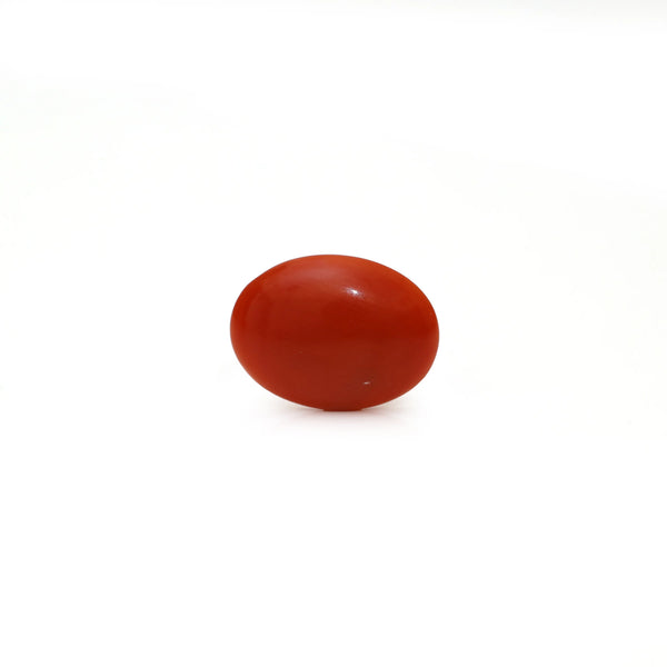 Japanese Red Coral - Moonga - 2.18 Carat - Pramogh