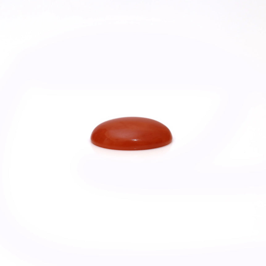 Japanese Red Coral - 2.65 Carat