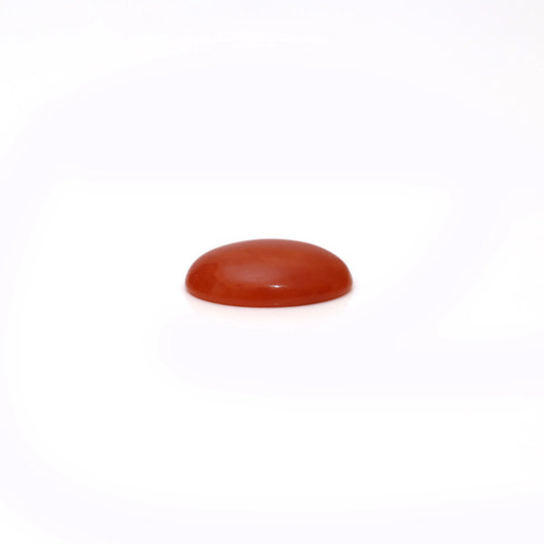 Japanese Red Coral - 2.65 Carat