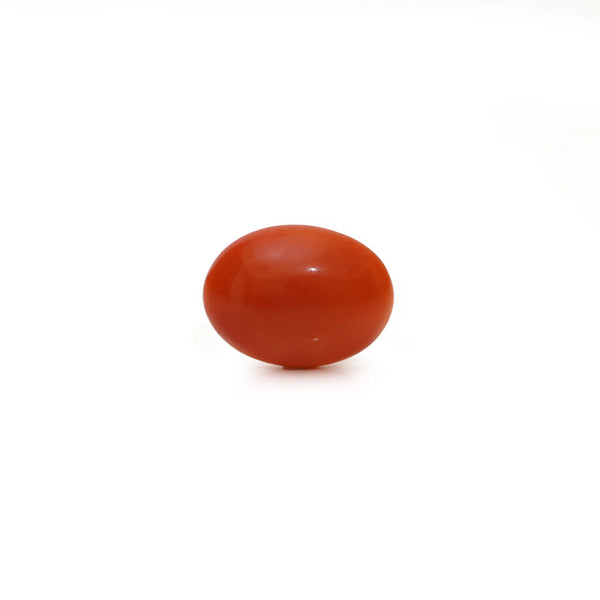 Japanese Red Coral - Moonga - 3 Carat - Pramogh