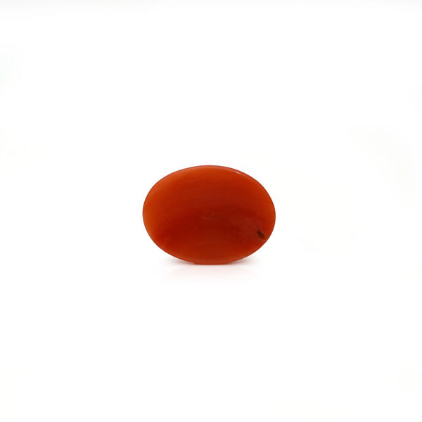 Japanese Red Coral - 3 Carat