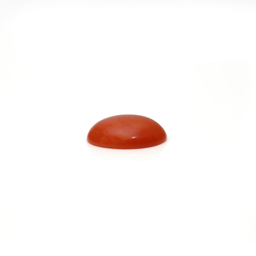 Japanese Red Coral - 3 Carat
