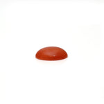 Japanese Red Coral - 3 Carat