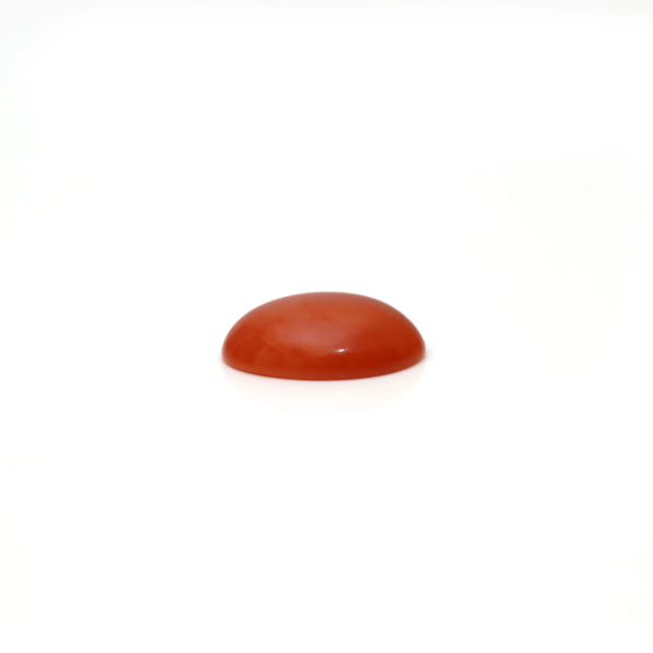 Japanese Red Coral - 3 Carat