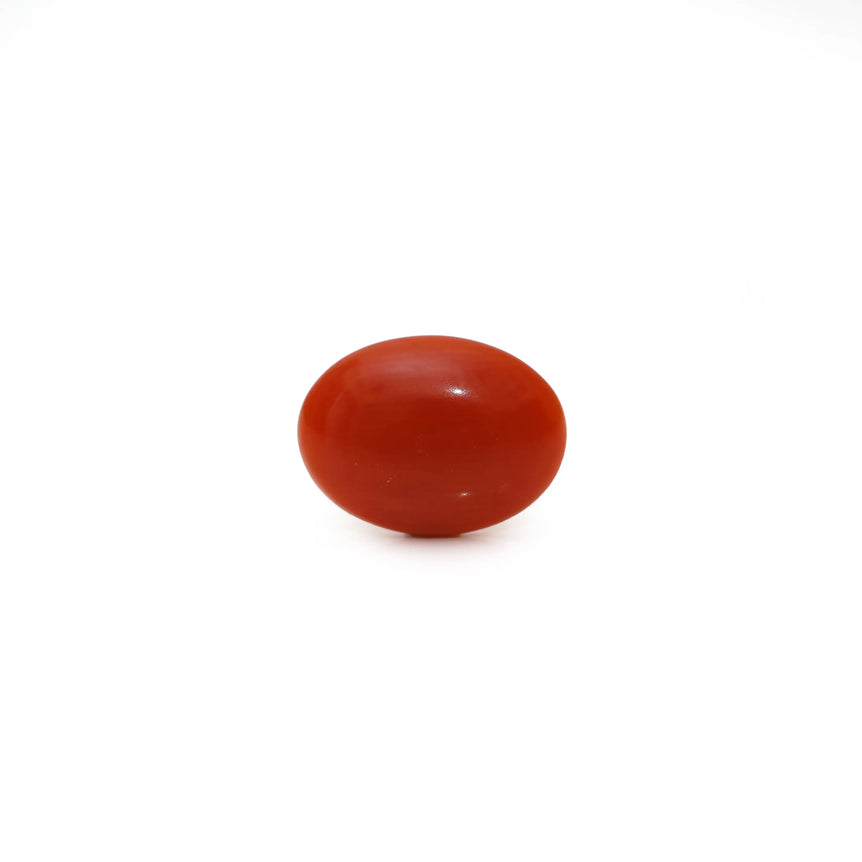 Japanese Red Coral - Moonga - 2.45 Carat - Pramogh