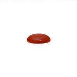 Japanese Red Coral - 2.45 Carat