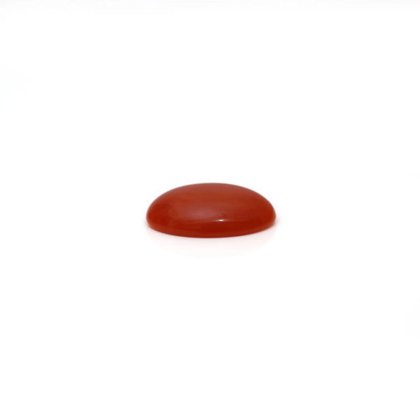Japanese Red Coral - 2.45 Carat