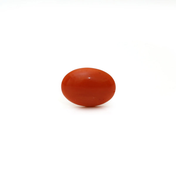 Japanese Red Coral - Moonga - 2.58 Carat - Pramogh