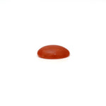 Japanese Red Coral - 2.58 Carat