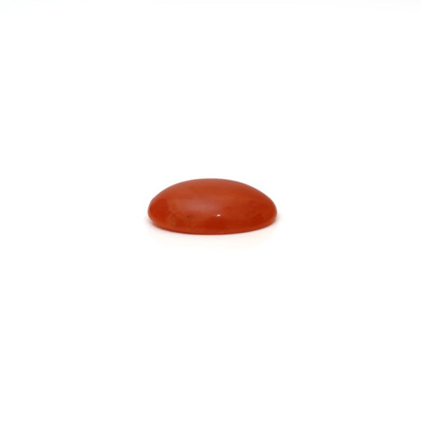Japanese Red Coral - 2.58 Carat