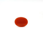 Japanese Red Coral - 2.5 Carat