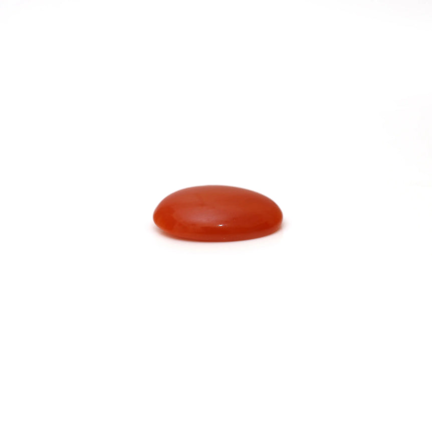 Japanese Red Coral - 2.5 Carat