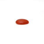 Japanese Red Coral - 2.5 Carat