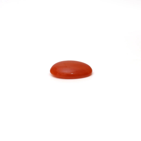 Japanese Red Coral - 2.5 Carat