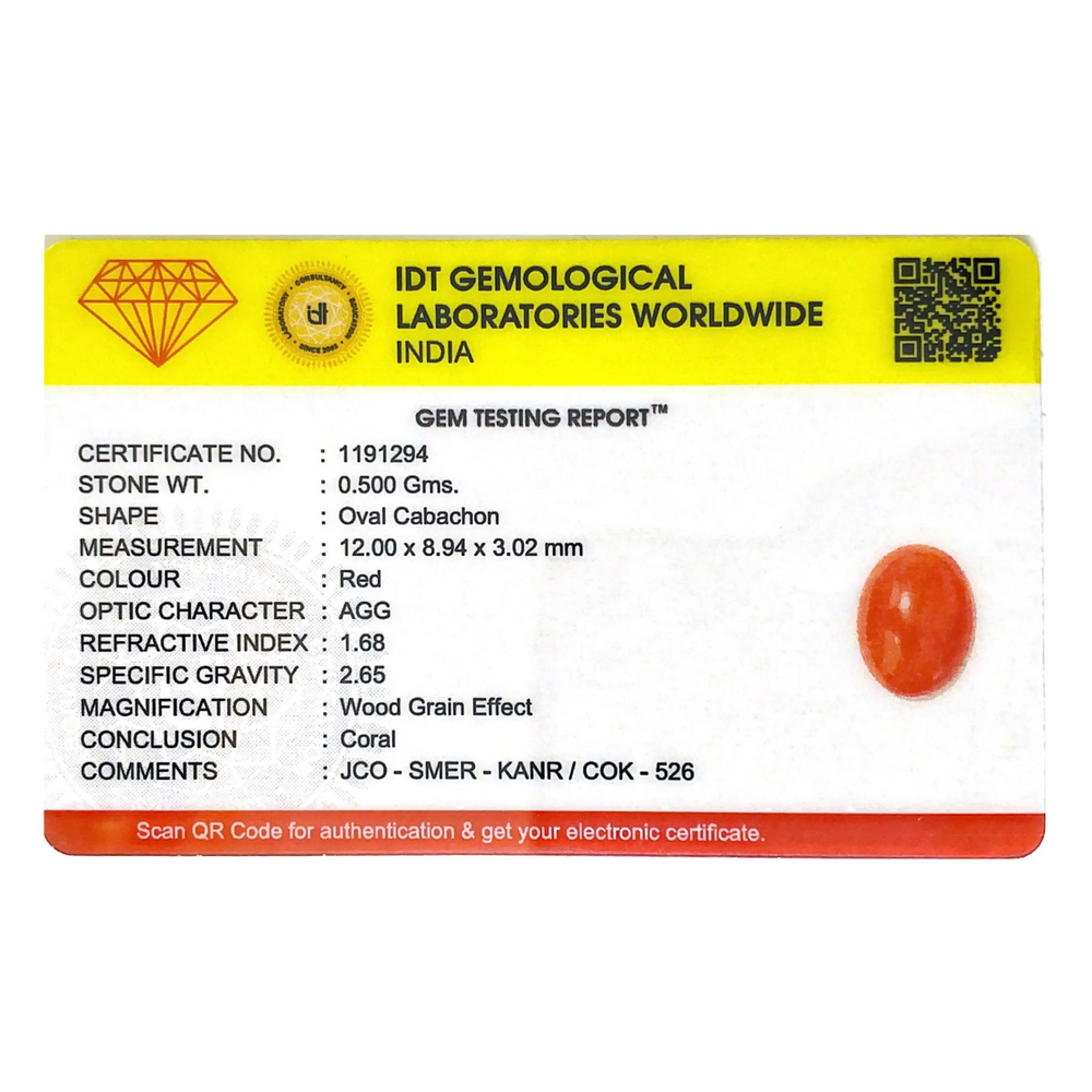 Japanese Red Coral - 2.5 Carat