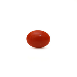 Japanese Red Coral - Moonga - 2.8 Carat - Pramogh