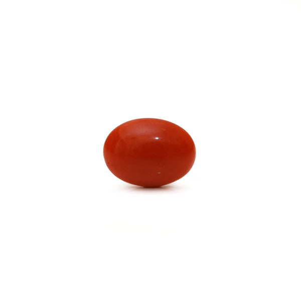 Japanese Red Coral - Moonga - 2.8 Carat - Pramogh