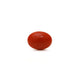 Japanese Red Coral - Moonga - 2.8 Carat - Pramogh