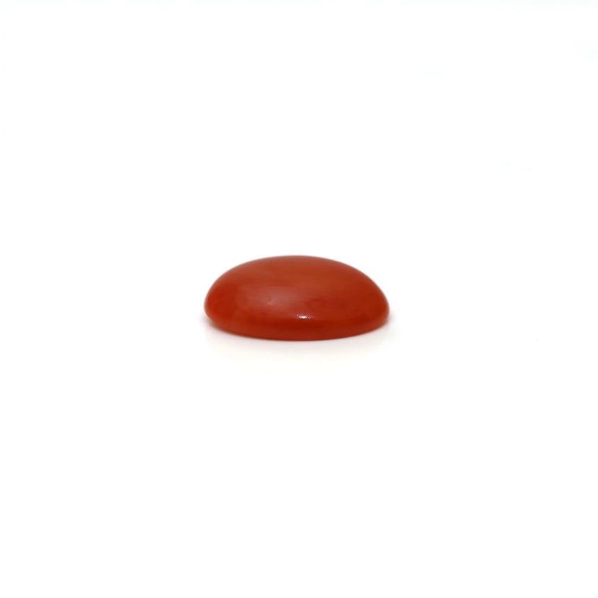 Japanese Red Coral - 2.8 Carat