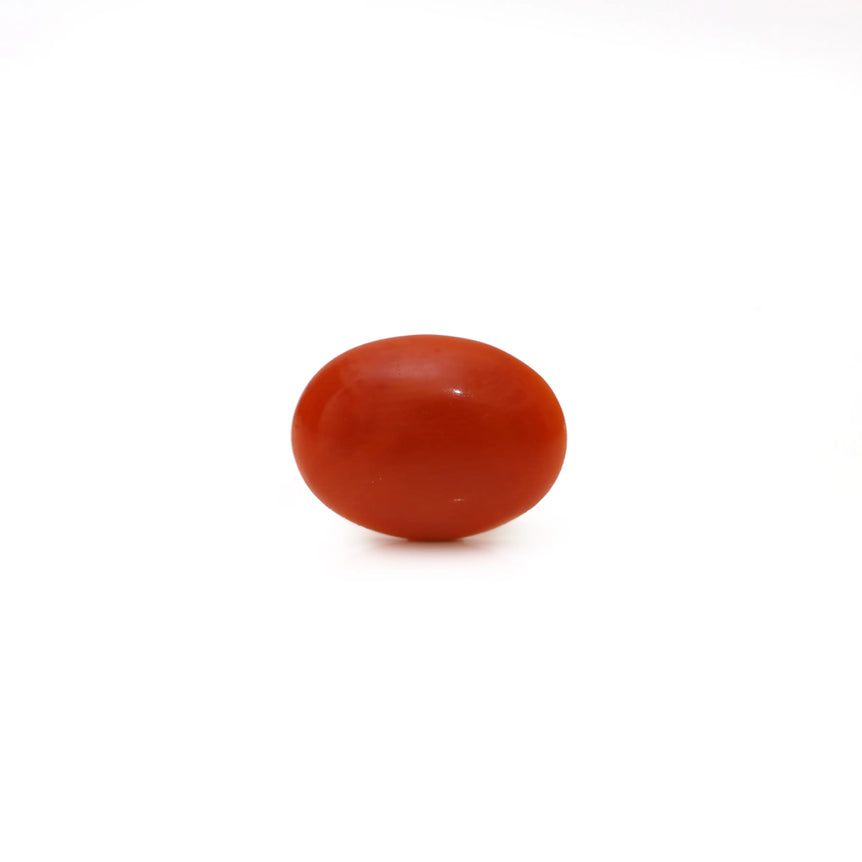 Japanese Red Coral - Moonga - 2.52 Carat - Pramogh