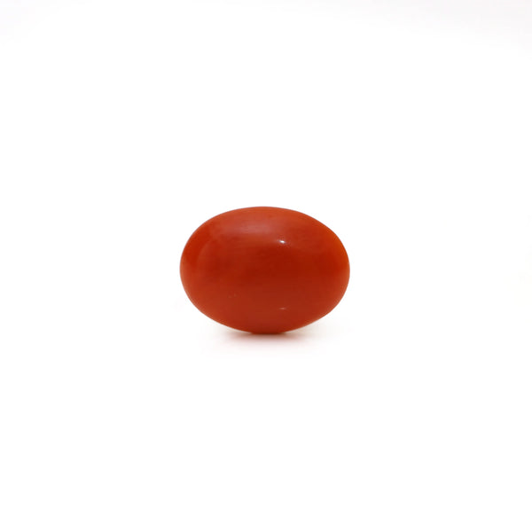 Japanese Red Coral - Moonga - 2.52 Carat - Pramogh