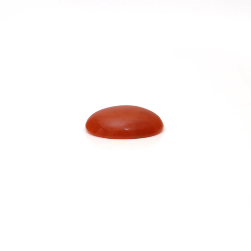 Japanese Red Coral - 2.52 Carat