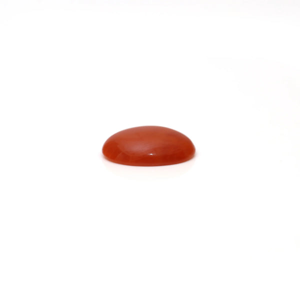 Japanese Red Coral - 2.52 Carat