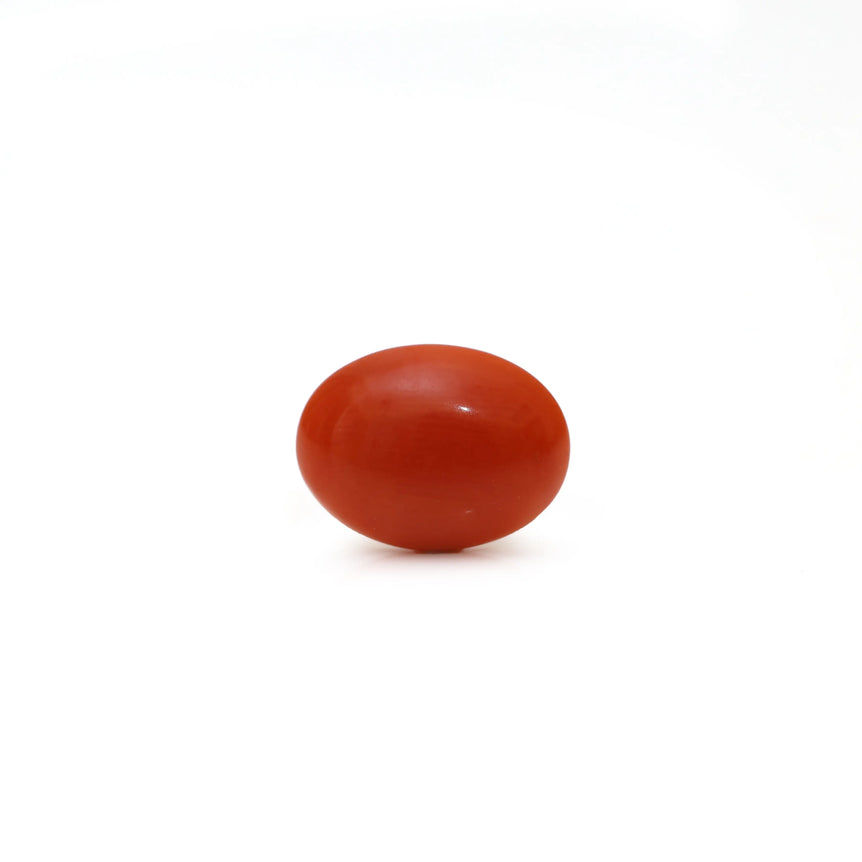 Japanese Red Coral - Moonga - 2.9 Carat - Pramogh