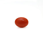 Japanese Red Coral - Moonga - 2.9 Carat - Pramogh