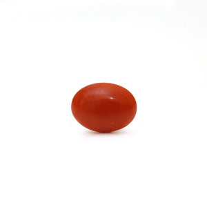 Japanese Red Coral - Moonga - 2.9 Carat - Pramogh