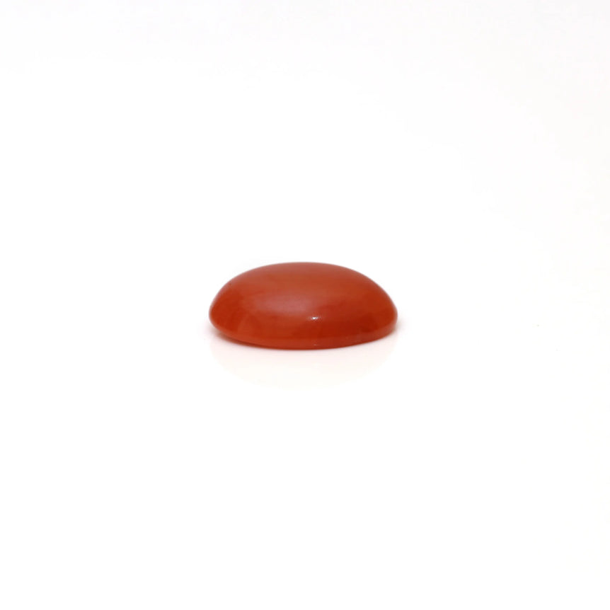 Japanese Red Coral - 2.9 Carat