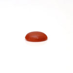 Japanese Red Coral - 2.9 Carat