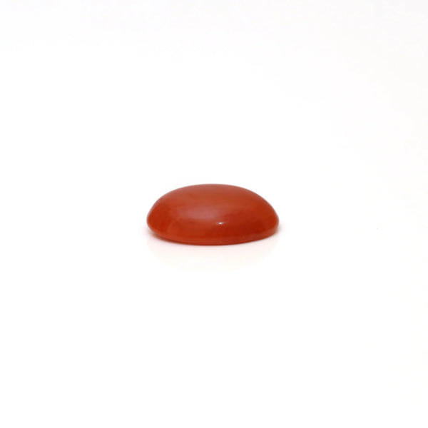 Japanese Red Coral - 2.9 Carat