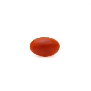 Japanese Red Coral - Moonga - 2.55 Carat - Pramogh