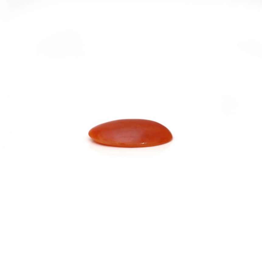 Japanese Red Coral - 2.55 Carat