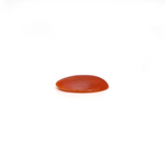 Japanese Red Coral - 2.55 Carat