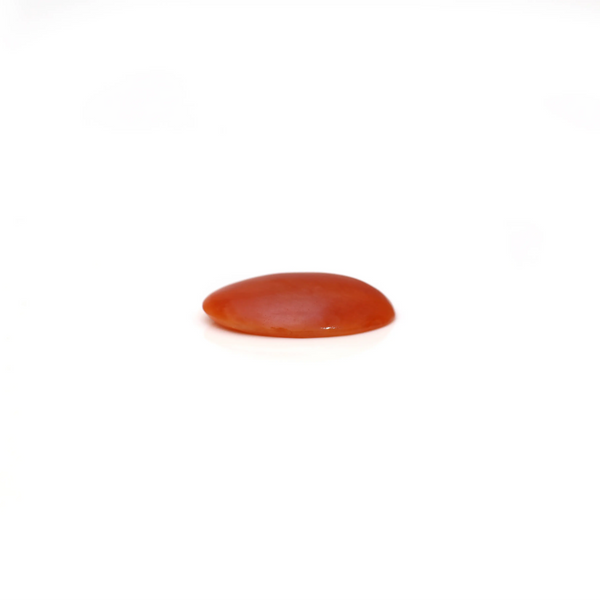 Japanese Red Coral - 2.55 Carat
