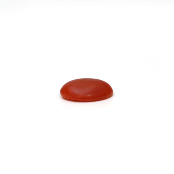 Japanese Red Coral - 2.37 Carat