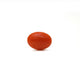 Japanese Red Coral - Moonga - 2.68 Carat - Pramogh