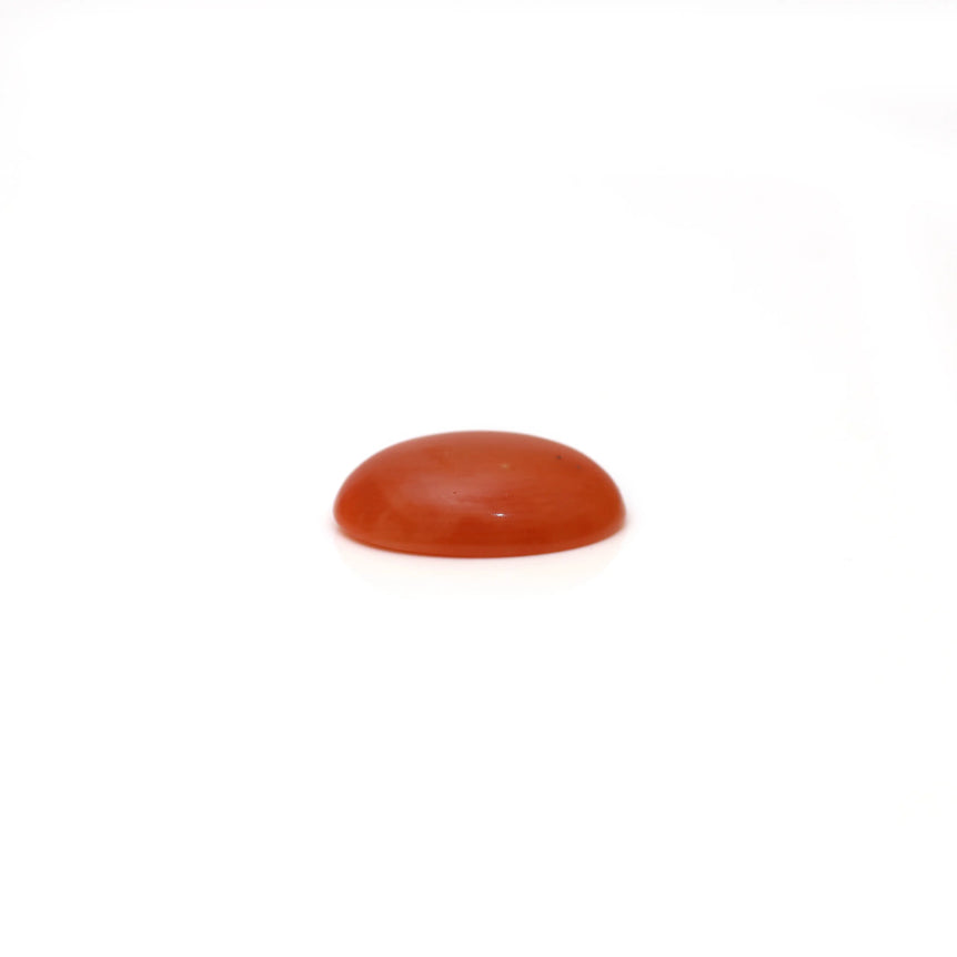 Japanese Red Coral - 2.68 Carat