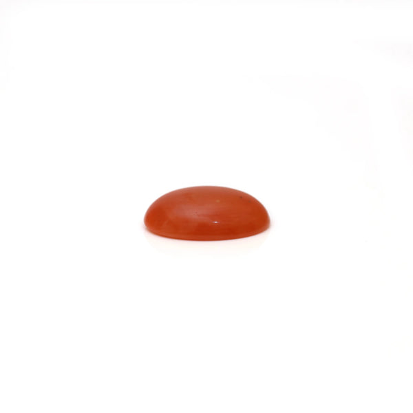 Japanese Red Coral - 2.68 Carat