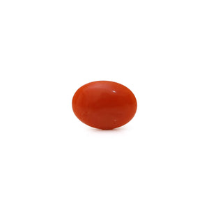 Japanese Red Coral - Moonga - 2.35 Carat - Pramogh