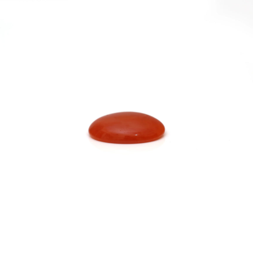 Japanese Red Coral - 2.35 Carat