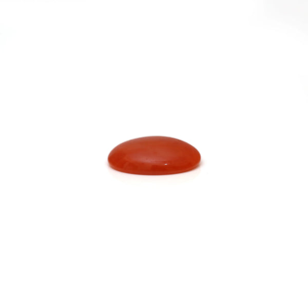 Japanese Red Coral - 2.35 Carat