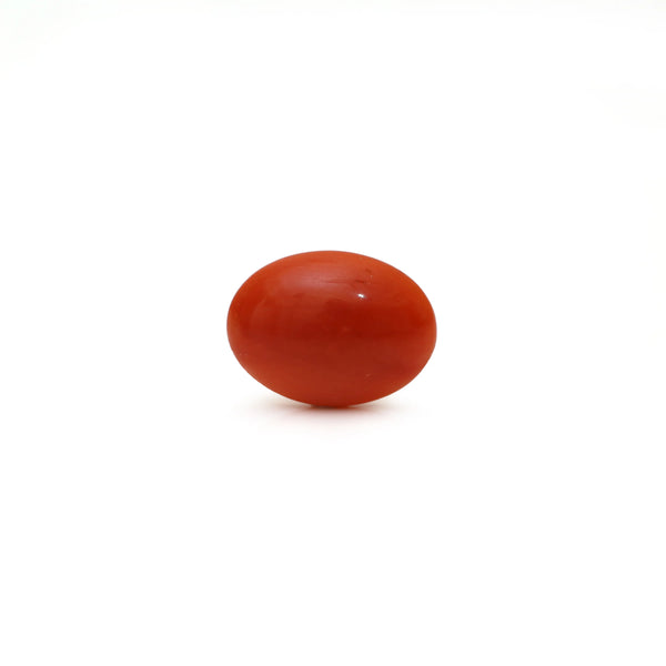 Japanese Red Coral - Moonga - 2.8 Carat - Pramogh