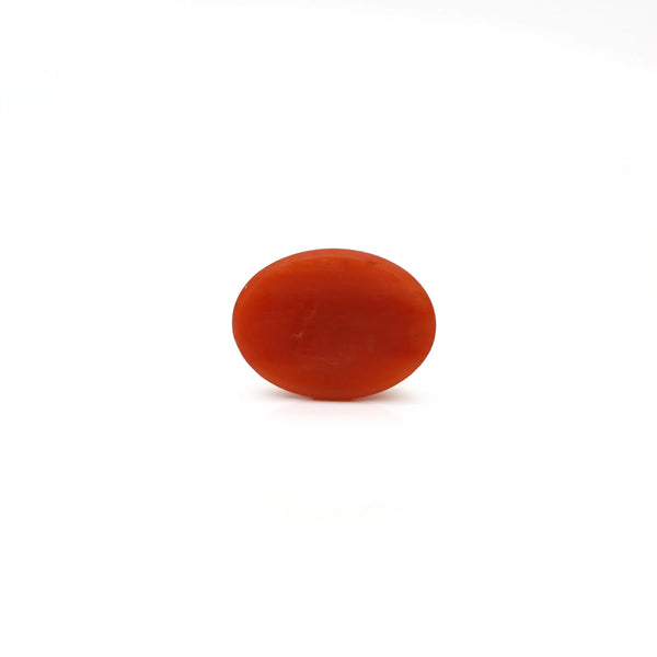 Japanese Red Coral - 2.8 Carat