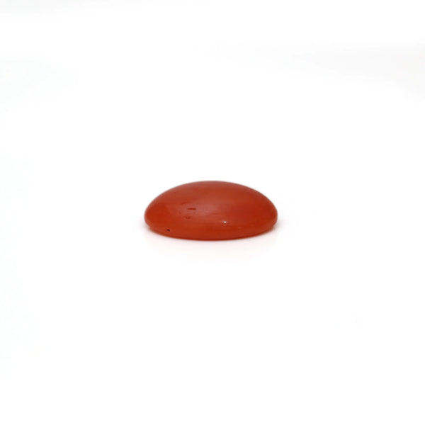 Japanese Red Coral - 2.8 Carat