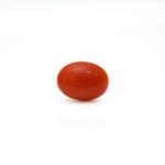 Japanese Red Coral - Moonga - 2.68 Carat - Pramogh
